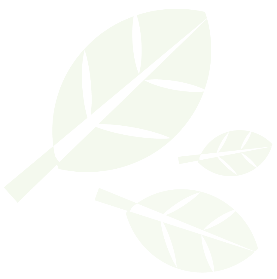 soky-ice-rink-seasonal-skating-in-downtown-bowling-green-ky